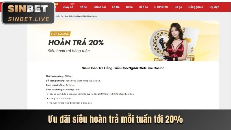 Tổng quan chuyên mục tin tức kbbet06